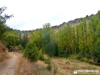 Hoces Río Duratón - Villa Sepúlveda; rutas de montaña por madrid; iniciacion senderismo